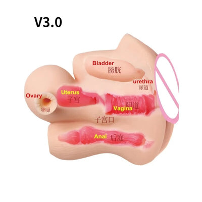 ชายนุ่มมดลูก Masturbator ช่องคลอดถ้วยจริงรุ่นหญิงจริงช่องคลอดสำหรับผู้ชาย Anal Sex ลึกมดลูก Sex ต่อมลูกหมากกระตุ้น sextoy